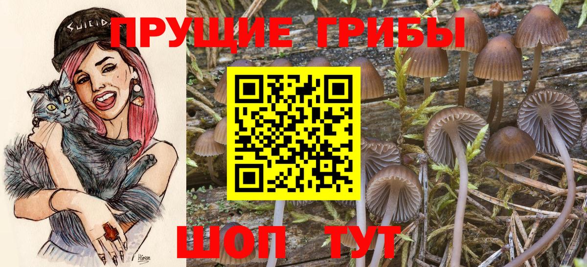 Псилоцибиновые грибы прущие грибы Орехово-Зуево